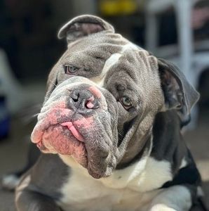 Meet your Posher, Gina